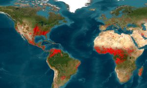 Map of the world